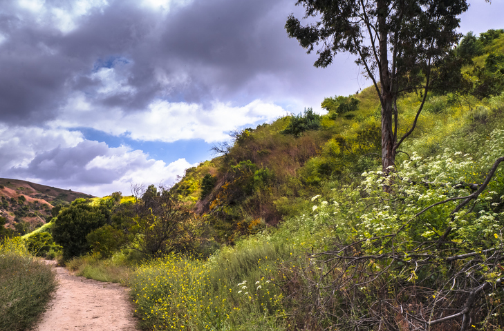 Panoramic Image of South Whittier, CA